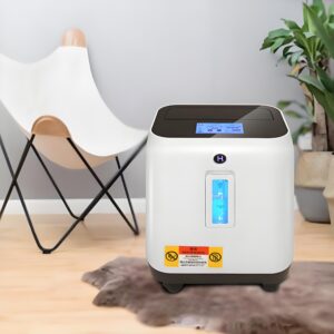 Professional Hydrogen Gas Generator with Adjustable Flow Rate