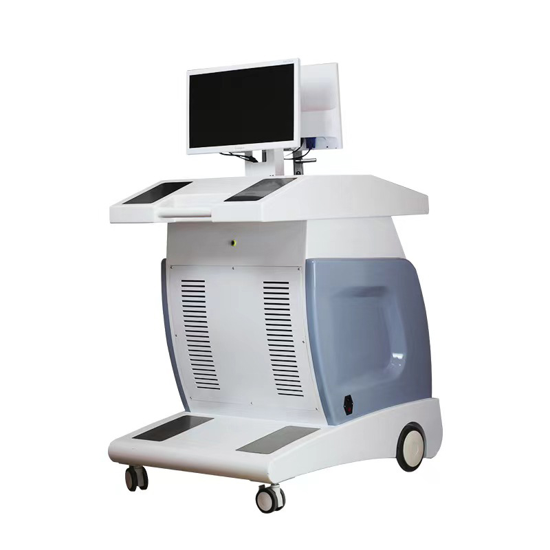 18D/21D Sub Health Assessment System | Full-Body 12-System Functional & Predictive Analysis